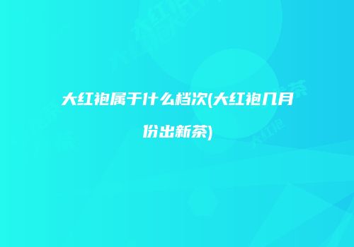 大红袍属于什么档次(大红袍几月份出新茶)