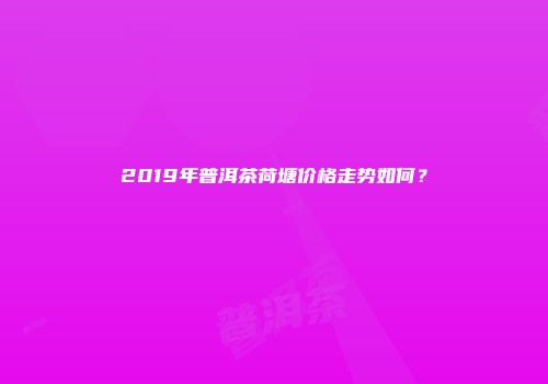 2019年普洱茶荷塘价格走势如何？
