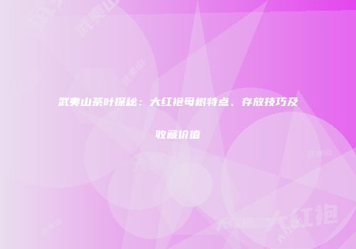 武夷山茶叶探秘：大红袍母树特点、存放技巧及收藏价值