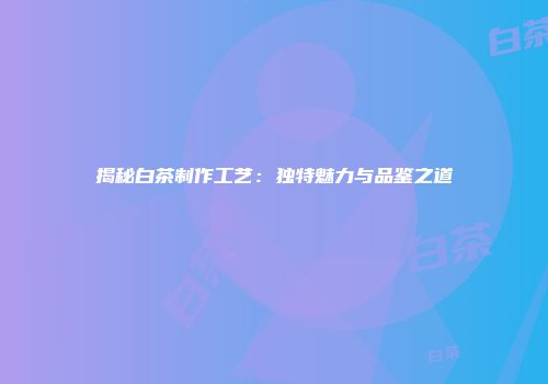 揭秘白茶制作工艺：独特魅力与品鉴之道