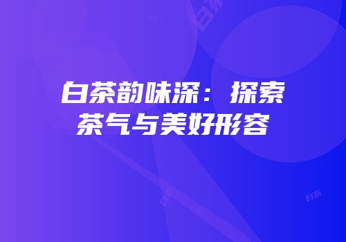 白茶韵味深：探索茶气与美好形容