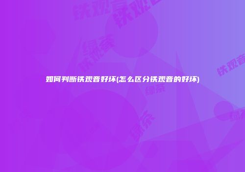 如何判断铁观音好坏(怎么区分铁观音的好坏)