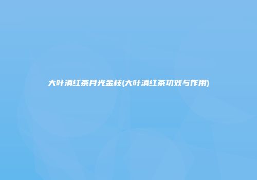 大叶滇红茶月光金枝(大叶滇红茶功效与作用)