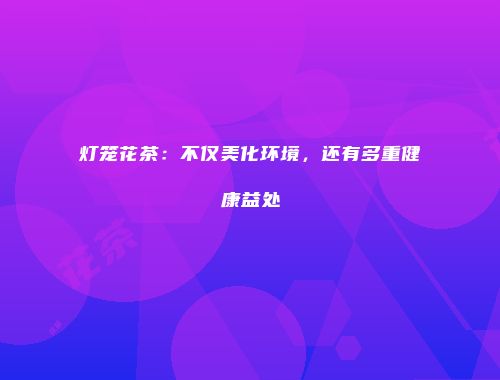 灯笼花茶：不仅美化环境，还有多重健康益处