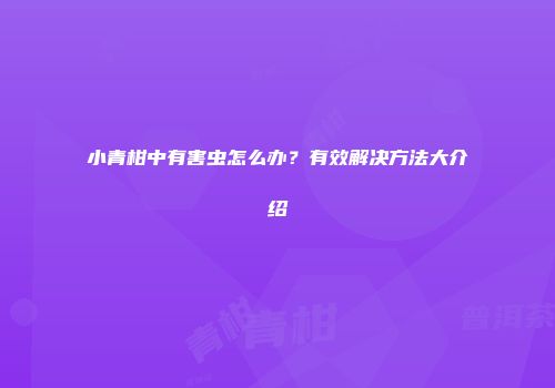 小青柑中有害虫怎么办？有效解决方法大介绍