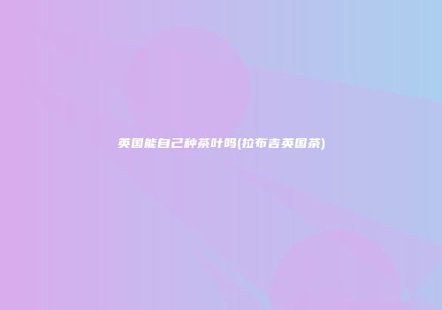 英国能自己种茶叶吗(拉布吉英国茶)