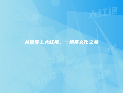 从星爱上大红袍，一场茶文化之旅