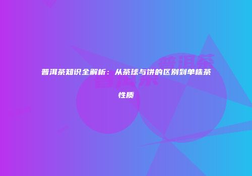 普洱茶知识全解析：从茶球与饼的区别到单株茶性质