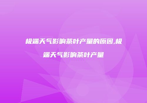 极端天气影响茶叶产量的原因,极端天气影响茶叶产量
