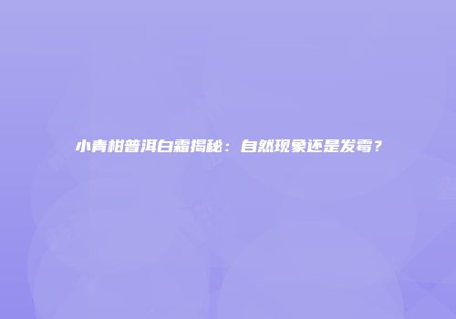小青柑普洱白霜揭秘：自然现象还是发霉？
