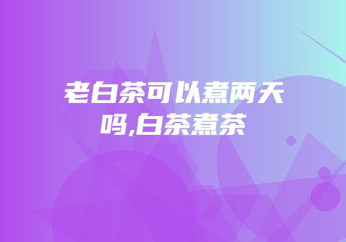 老白茶可以煮两天吗,白茶煮茶