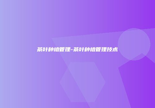 茶叶种植管理-茶叶种植管理技术