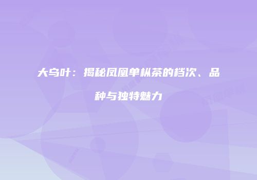 大乌叶：揭秘凤凰单枞茶的档次、品种与独特魅力