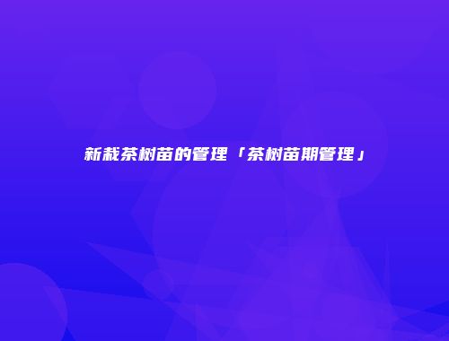 新栽茶树苗的管理「茶树苗期管理」