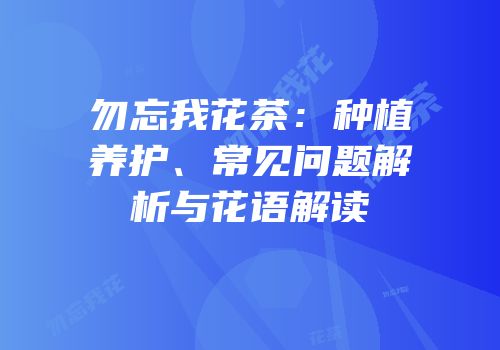 勿忘我花茶：种植养护、常见问题解析与花语解读