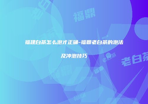 福建白茶怎么泡才正确-福鼎老白茶的泡法及冲泡技巧