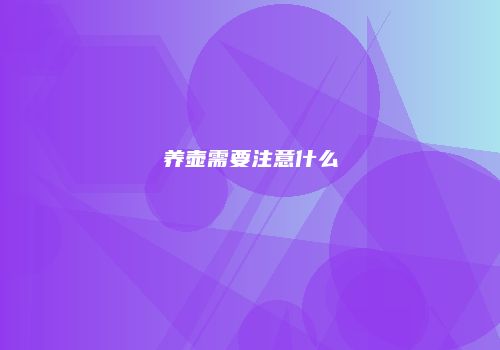养壶需要注意什么