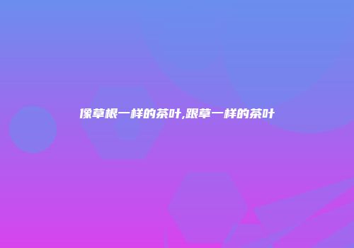 像草根一样的茶叶,跟草一样的茶叶