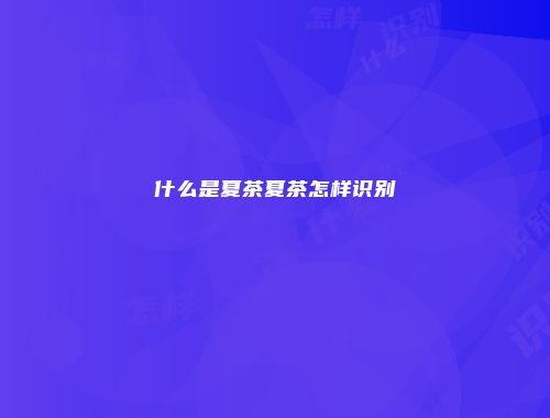 什么是夏茶夏茶怎样识别