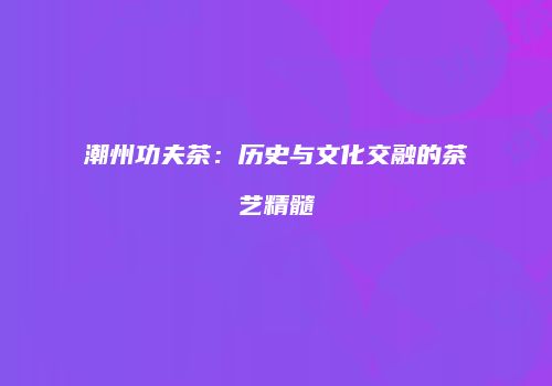 潮州功夫茶：历史与文化交融的茶艺精髓