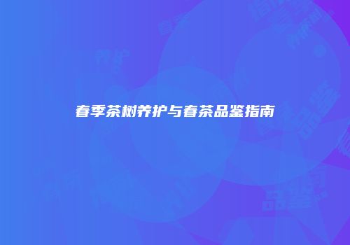 春季茶树养护与春茶品鉴指南