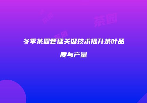 冬季茶园管理关键技术提升茶叶品质与产量