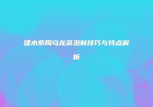 建水紫陶乌龙茶泡制技巧与特点解析