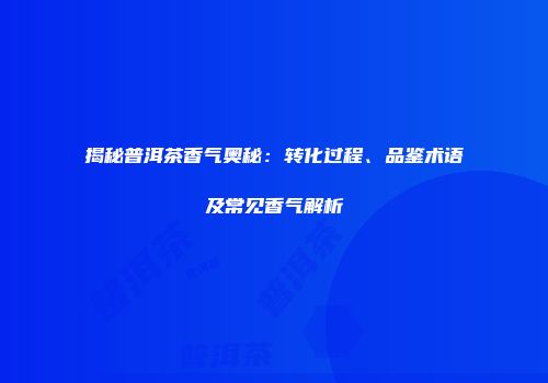 揭秘普洱茶香气奥秘：转化过程、品鉴术语及常见香气解析