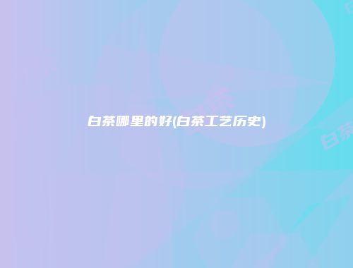 白茶哪里的好(白茶工艺历史)