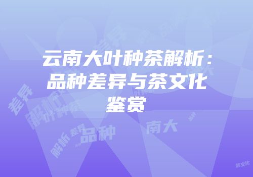 云南大叶种茶解析：品种差异与茶文化鉴赏