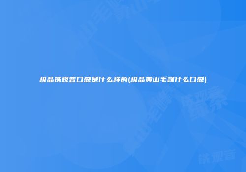 极品铁观音口感是什么样的(极品黄山毛峰什么口感)