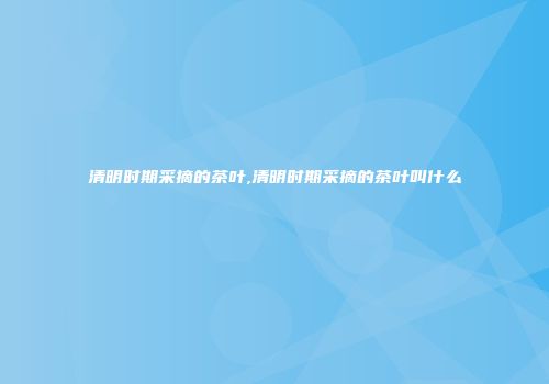 清明时期采摘的茶叶,清明时期采摘的茶叶叫什么