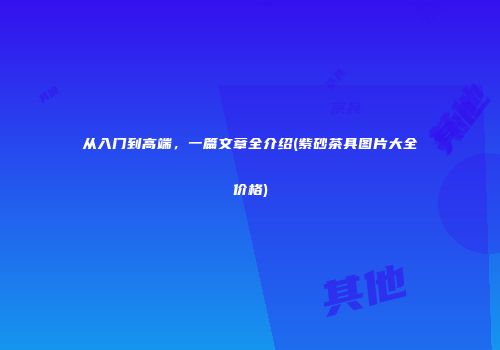 从入门到高端，一篇文章全介绍(紫砂茶具图片大全价格)