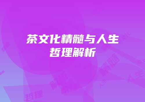 茶文化精髓与人生哲理解析