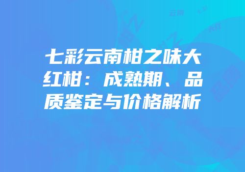 七彩云南柑之味大红柑：成熟期、品质鉴定与价格解析