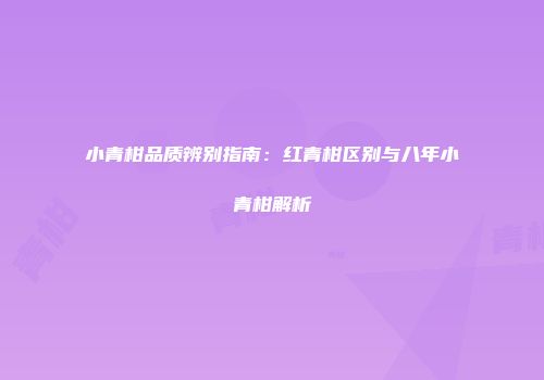 小青柑品质辨别指南：红青柑区别与八年小青柑解析