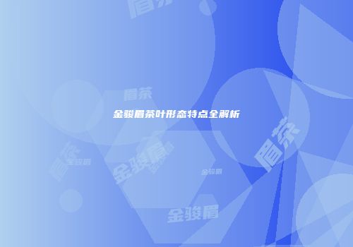 金骏眉茶叶形态特点全解析