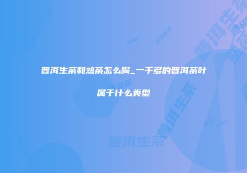 普洱生茶和熟茶怎么喝_一千多的普洱茶叶属于什么类型
