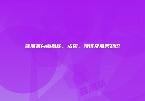普洱茶白霜揭秘：成因、特征及品茗知识