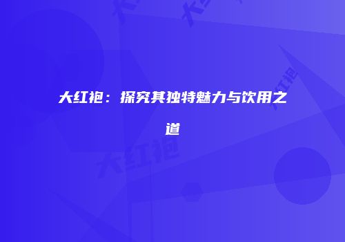 大红袍：探究其独特魅力与饮用之道