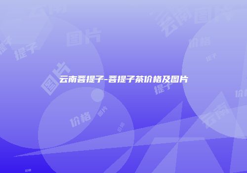 云南菩提子-菩提子茶价格及图片