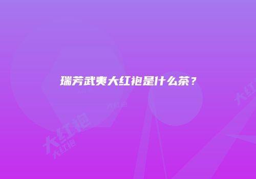 瑞芳武夷大红袍是什么茶？