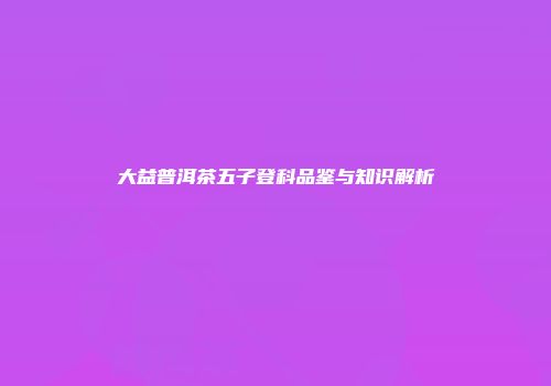 大益普洱茶五子登科品鉴与知识解析