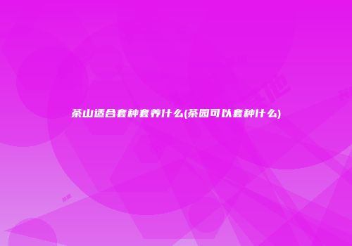 茶山适合套种套养什么(茶园可以套种什么)