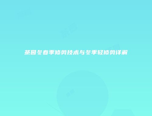 茶园冬春季修剪技术与冬季轻修剪详解