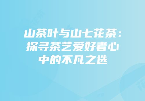 山茶叶与山七花茶：探寻茶艺爱好者心中的不凡之选