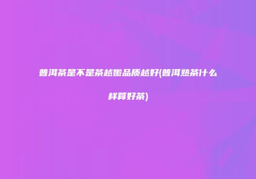 普洱茶是不是茶越嫩品质越好(普洱熟茶什么样算好茶)