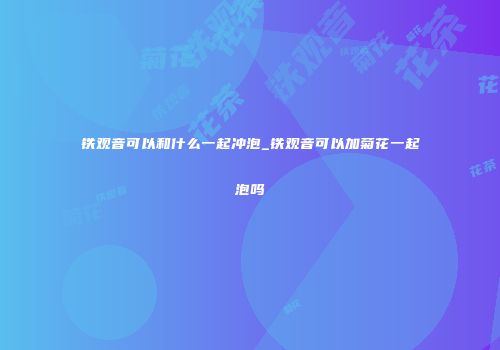 铁观音可以和什么一起冲泡_铁观音可以加菊花一起泡吗