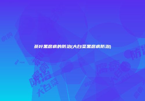 茶叶黑腐病的防治(大白菜黑腐病防治)