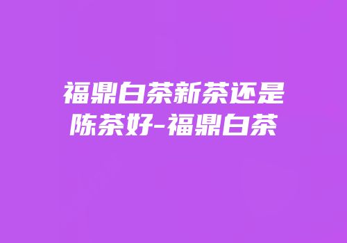 福鼎白茶新茶还是陈茶好-福鼎白茶